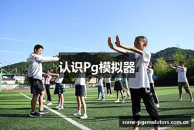认识Pg模拟器